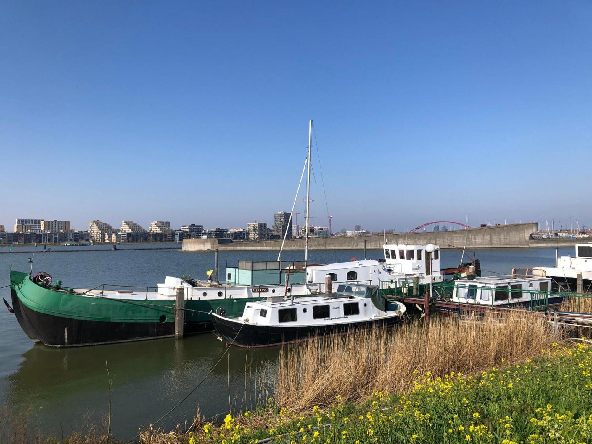 Floating B&B Amsterdam Esterno foto